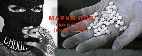 ПСИЛОЦИБИНОВЫЕ ГРИБЫ Тайга