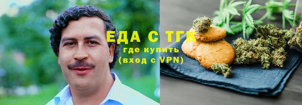 ПСИЛОЦИБИНОВЫЕ ГРИБЫ Тайга