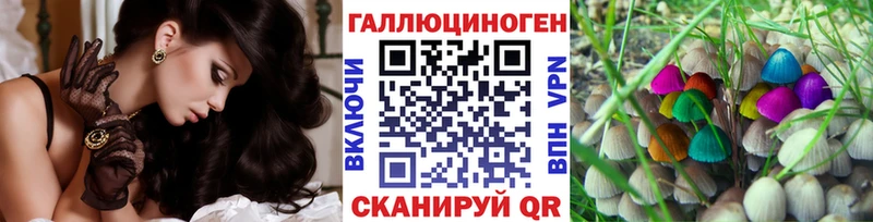 Купить  Боровичи  Псилоцибиновые грибы GOLDEN TEACHER 