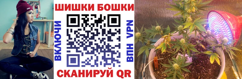 Купить где  Боровичи  Бошки марихуана SATIVA & INDICA 